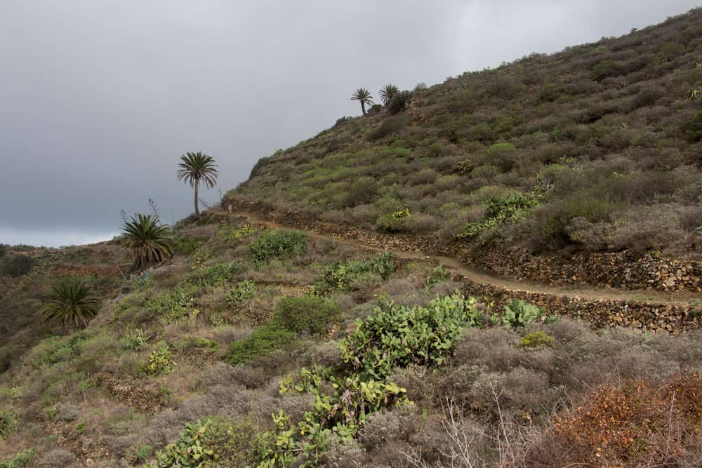 hiking path from Simancas to Mazapeces