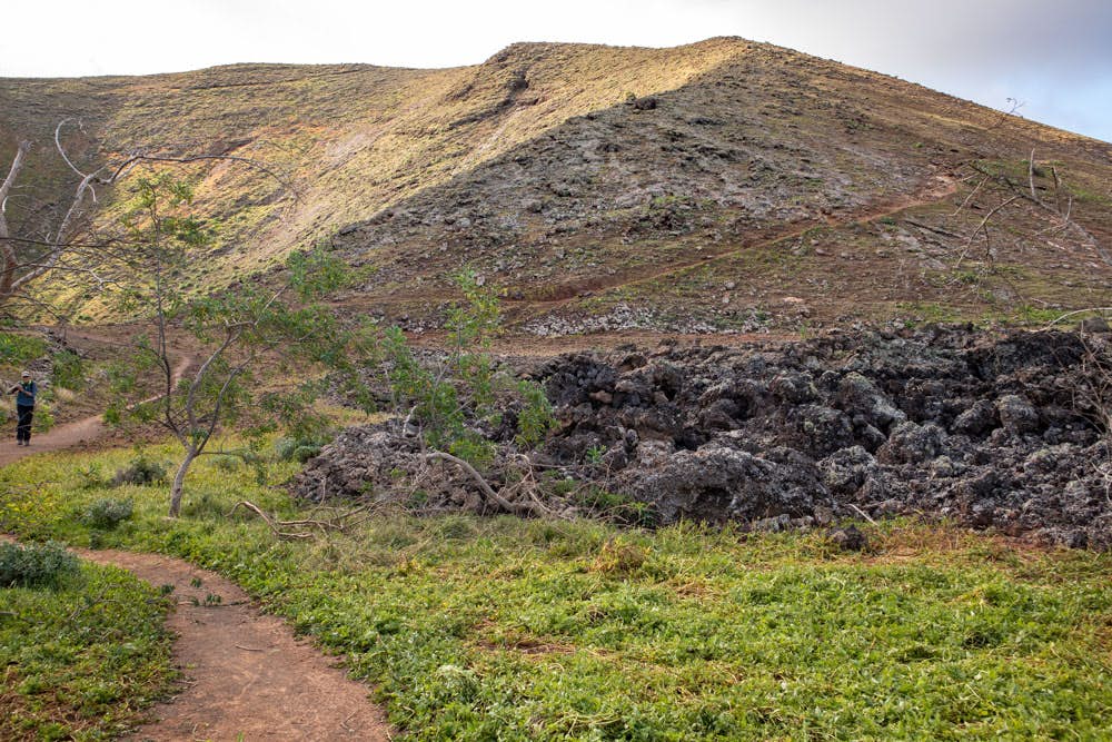 the volcanic slopes, lava and a little green