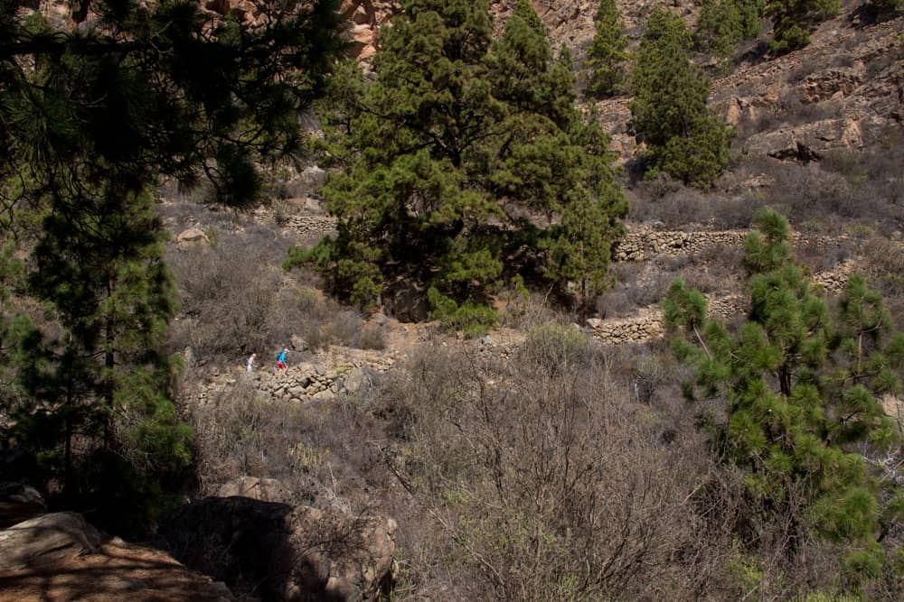 hiking path Las Vegas