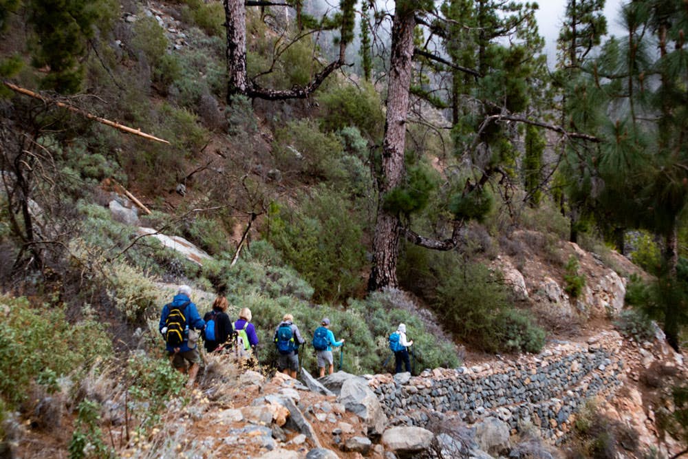hiking group on the path