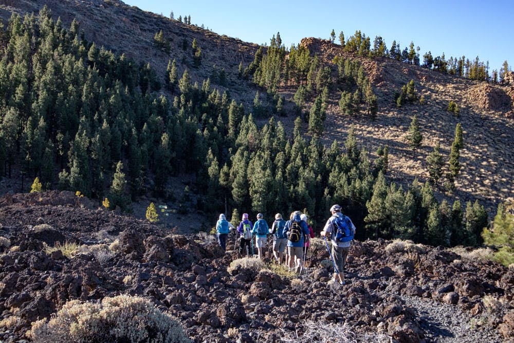 hiking group on the path - Montaña el Cedro