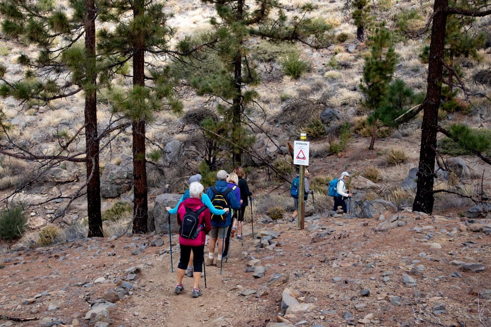 descent on the backside of Montaña el Cedro