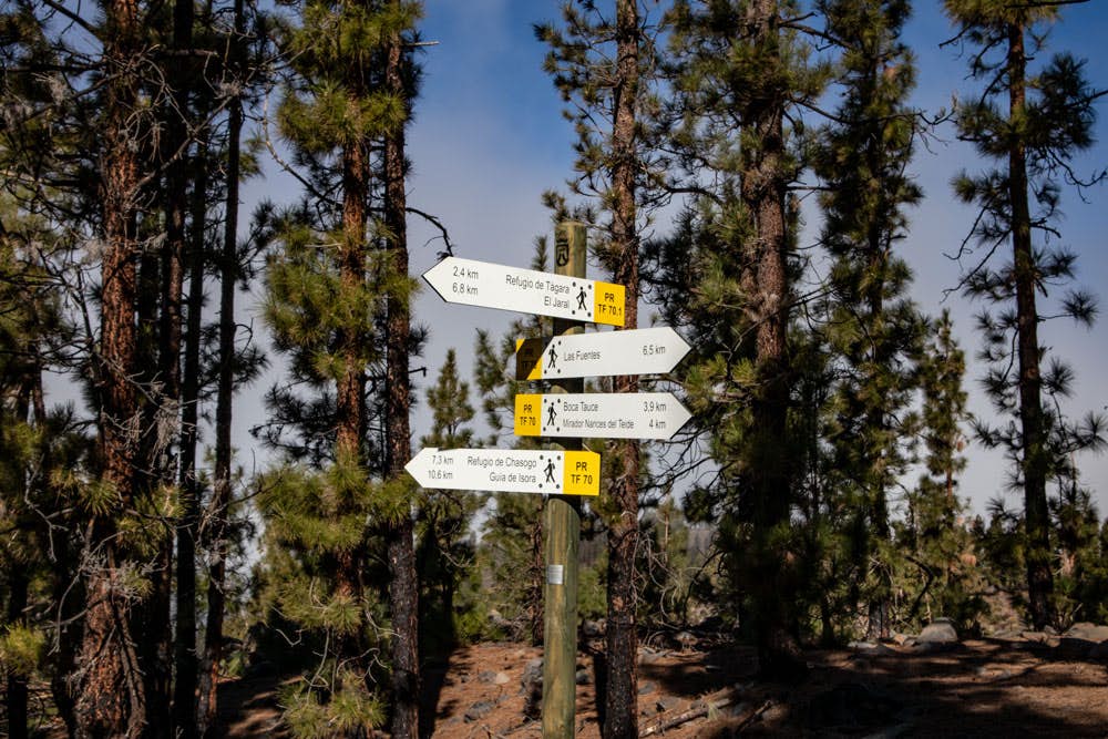 signposts at a crossing for hikers