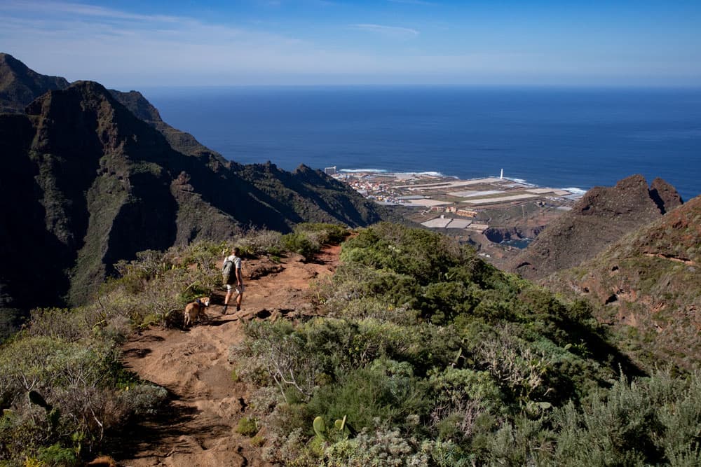 hiker on the hiking trail