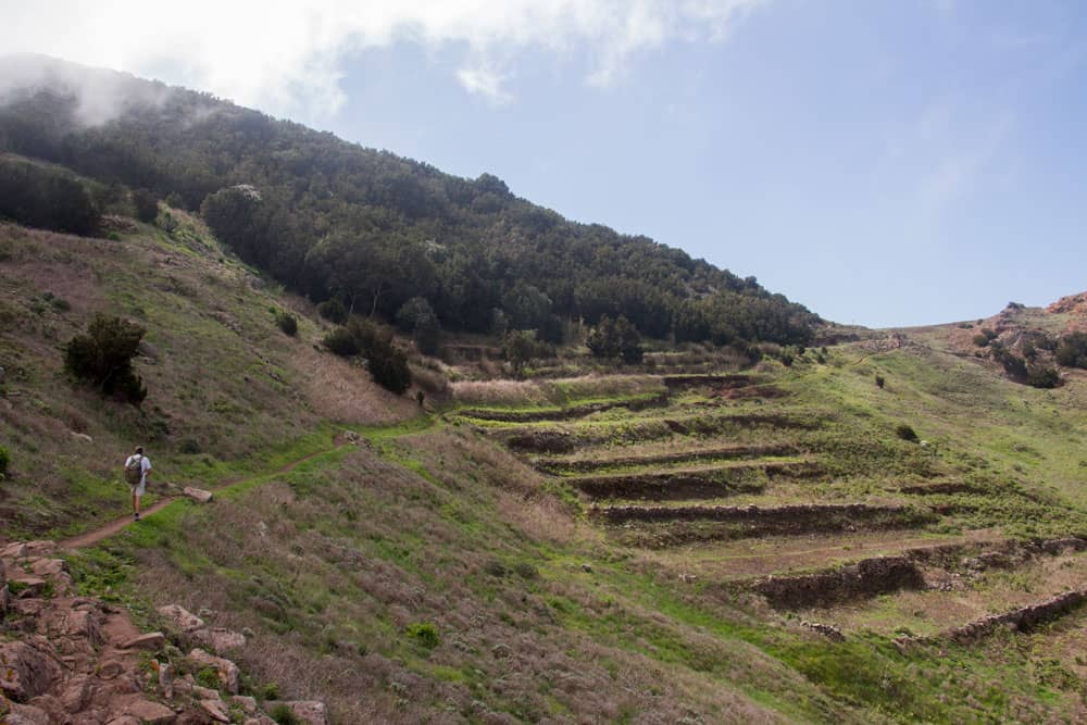 hiker on the plateau walking through terrace fields