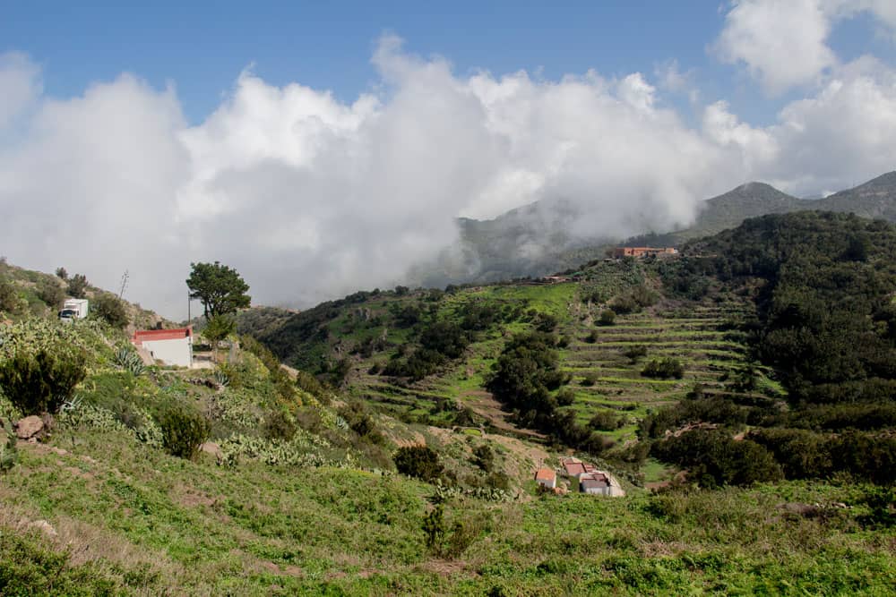 Close to Teno Alto - finca, fields, impressing landscape