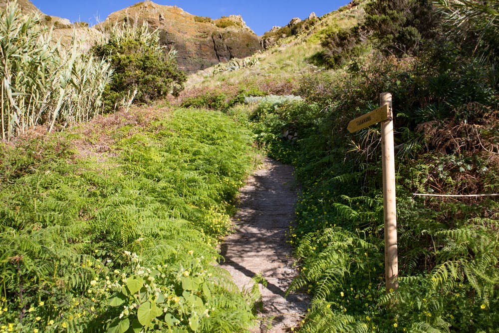 hiking path with signpost at the road of Afur