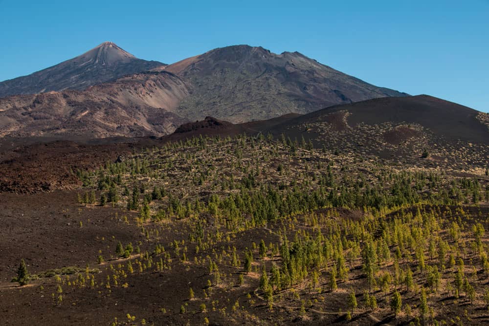 Samara circular - view on the Teide, Pico Viejo and Montaña de la Botija