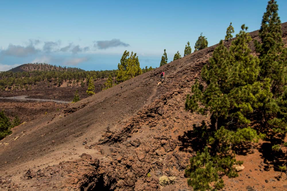 uphill on narrow pathes