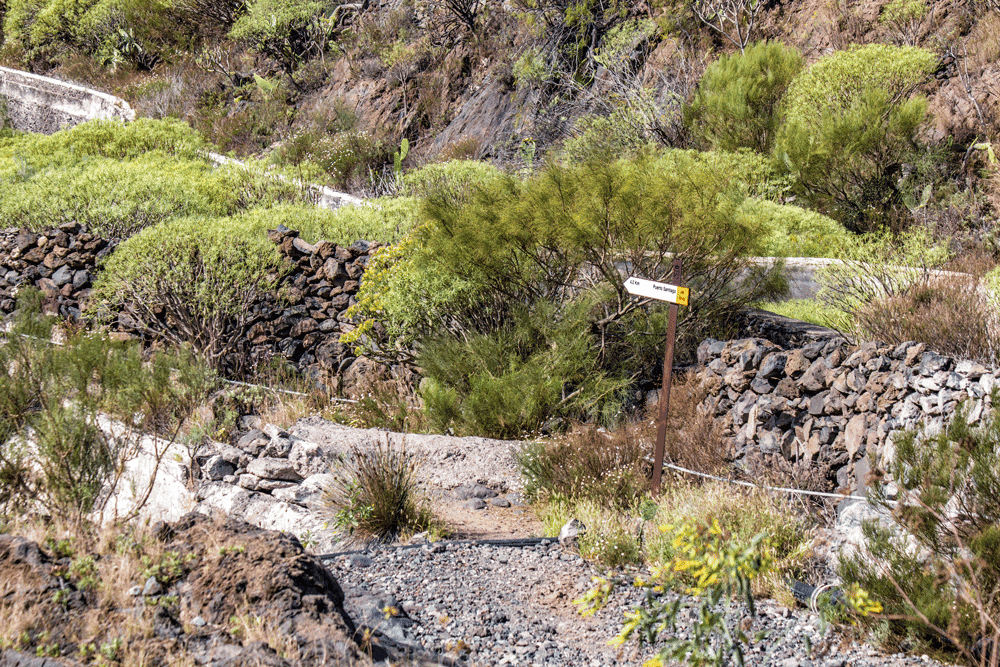 Camino Real - hiking path between Santiago del Teide and Los Gigantes