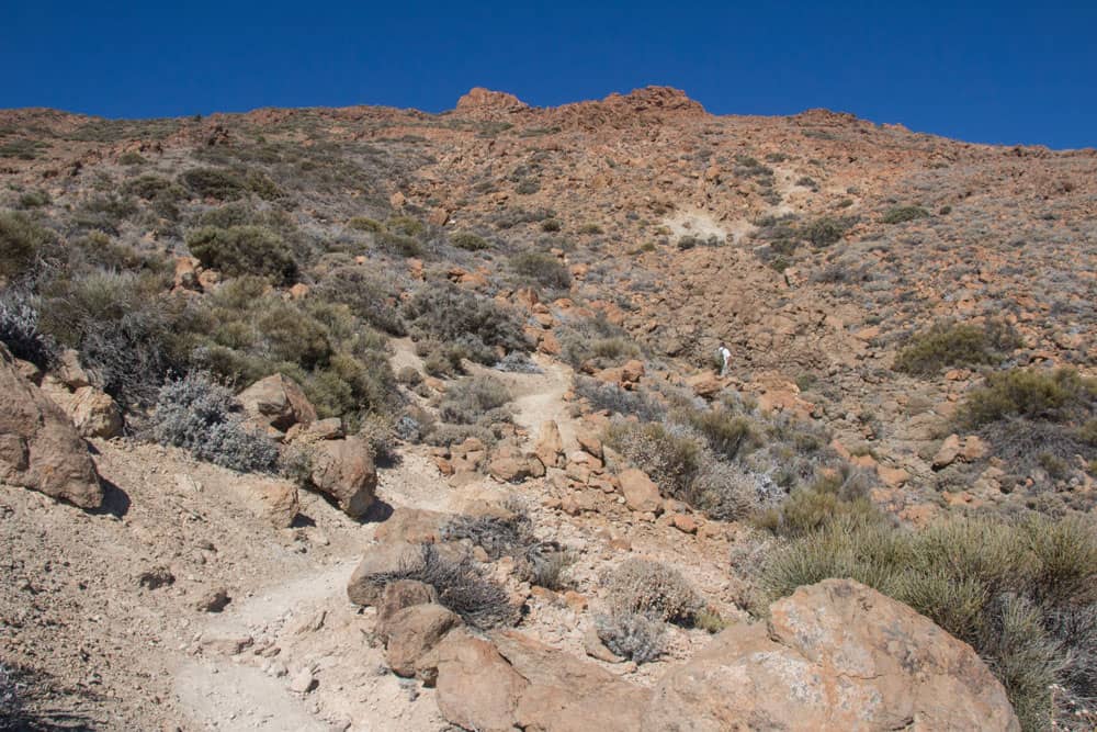 Hiking path to the Guajara