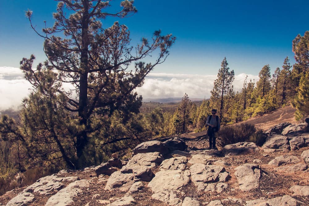 hiking path above the clouds