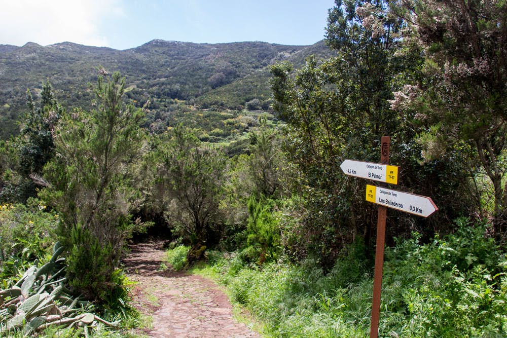 hiking path between Teno Alto and Las Portelas
