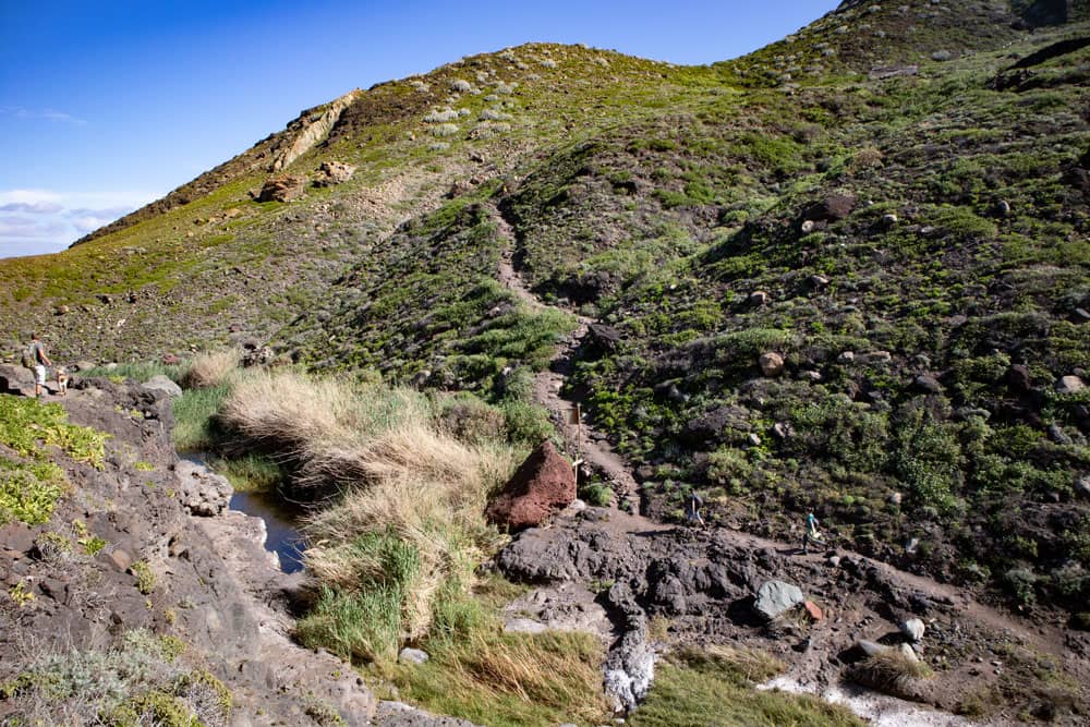 junction hiking trail with waterholes and reed