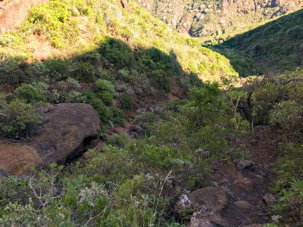 hiking trail at the ground of the Barranco - way back to Taborno