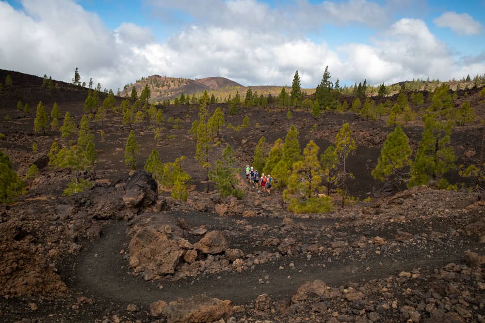 Hikers on serpentine paths