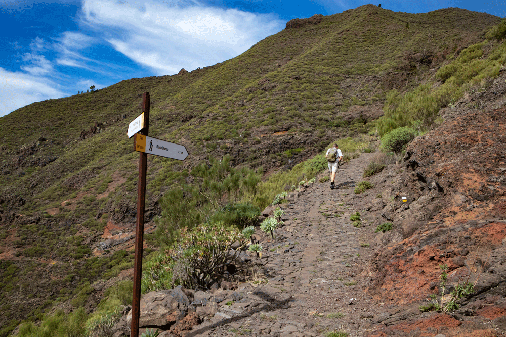 hiker on the trail TF PR 65.1