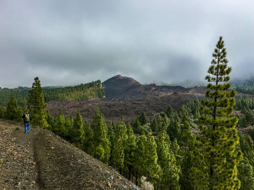 Hiker on his way to Chinyero