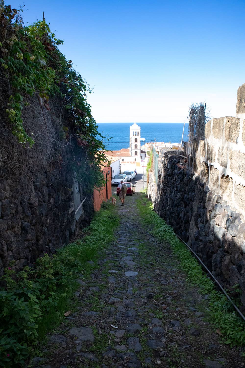 hiking path into Garachico