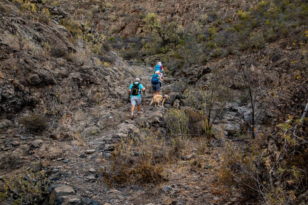 Hiking path - Barranco del Agua