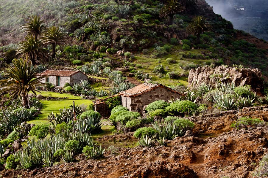 La Gomera - Hiking El Cabrito