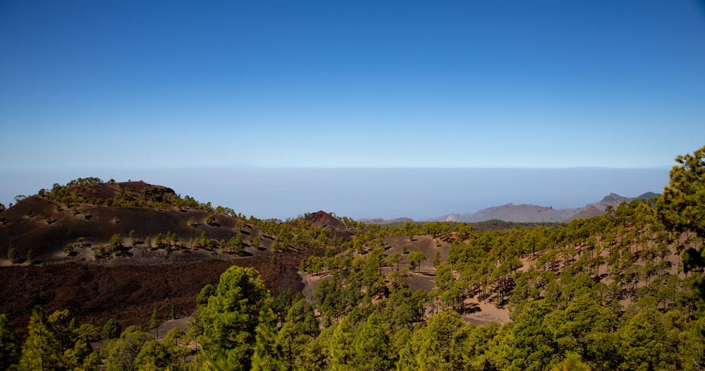 View from the Montaña de las Cuevitas