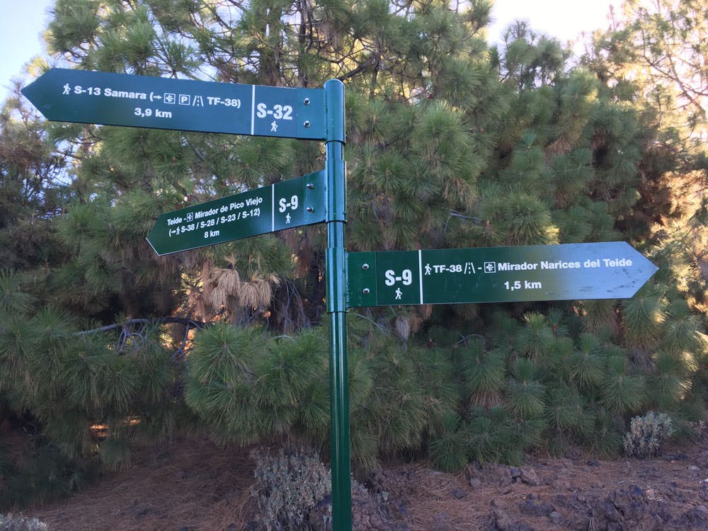 Sendero 9 - hiking crossway in the little pine wood