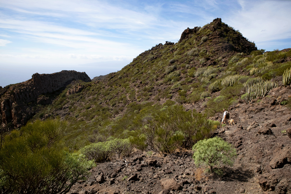 hiking path Risco Blanco to the summit plateau