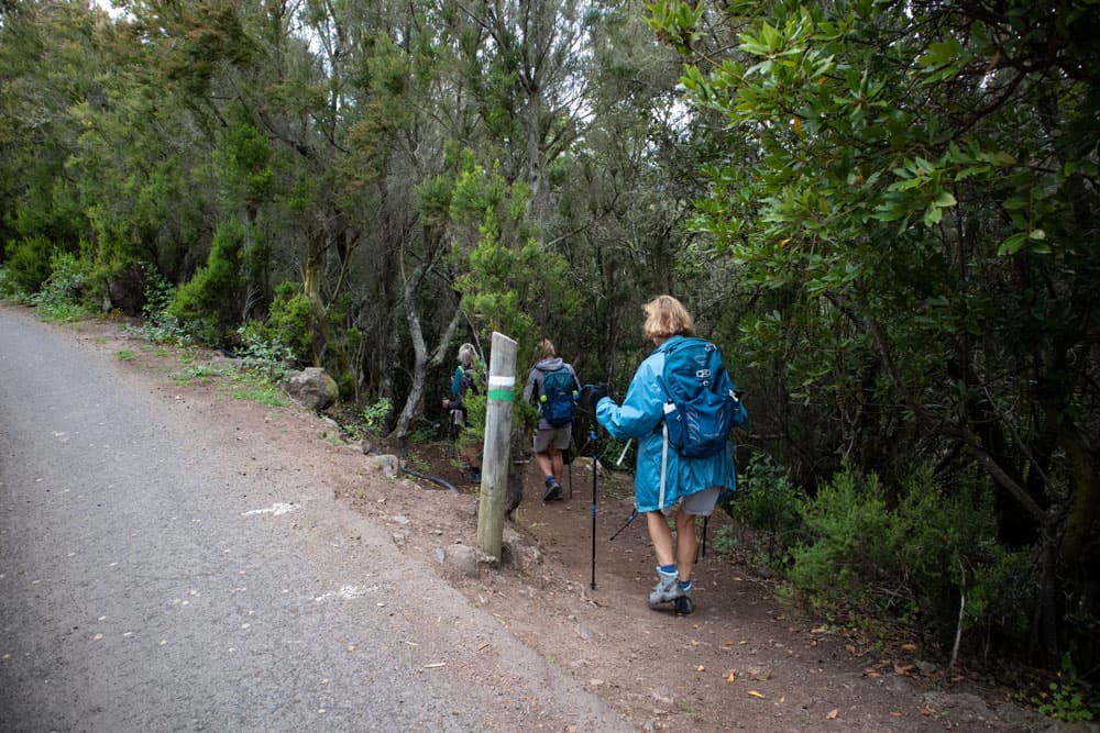hiking junction - marked with white and green