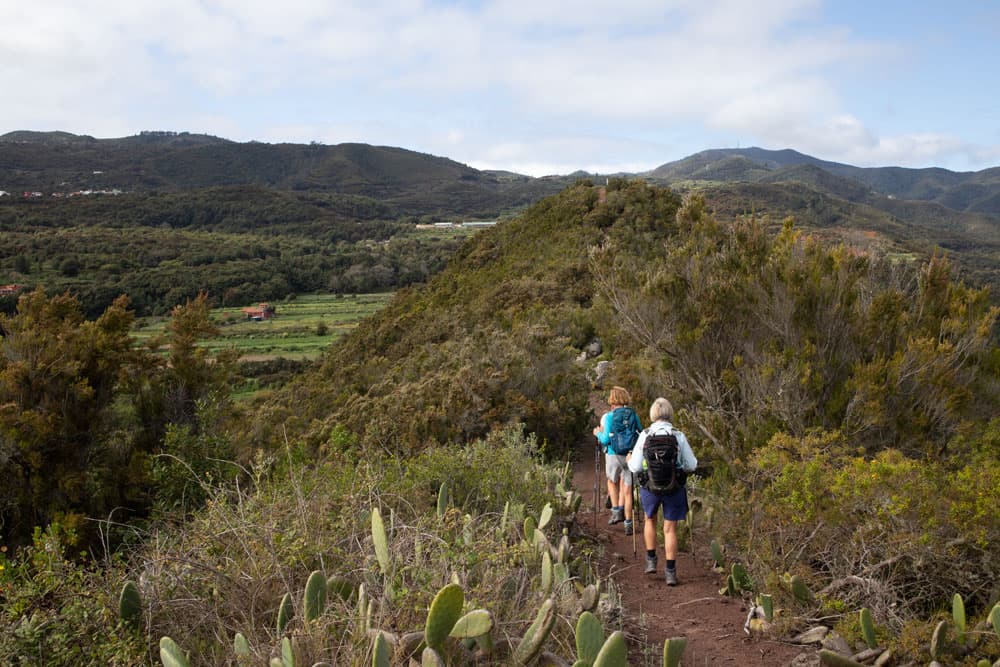 Excursionistas en el sendero de la cresta