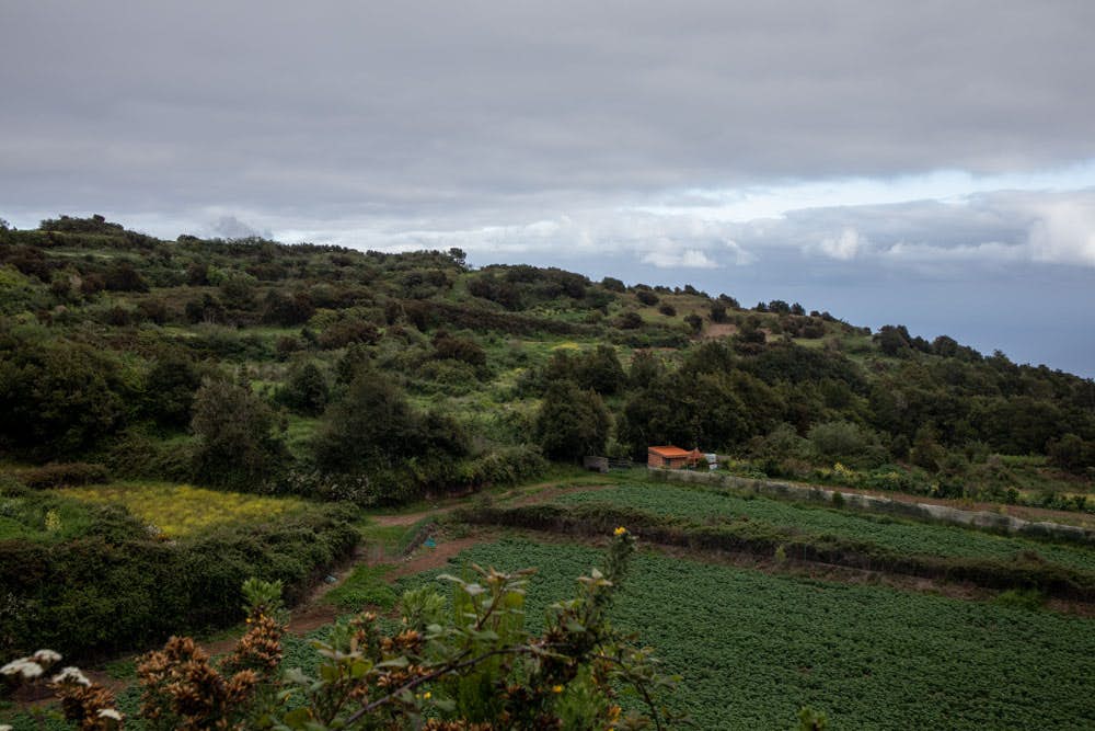 hiking trail in the middle of fields close to Ruigómez