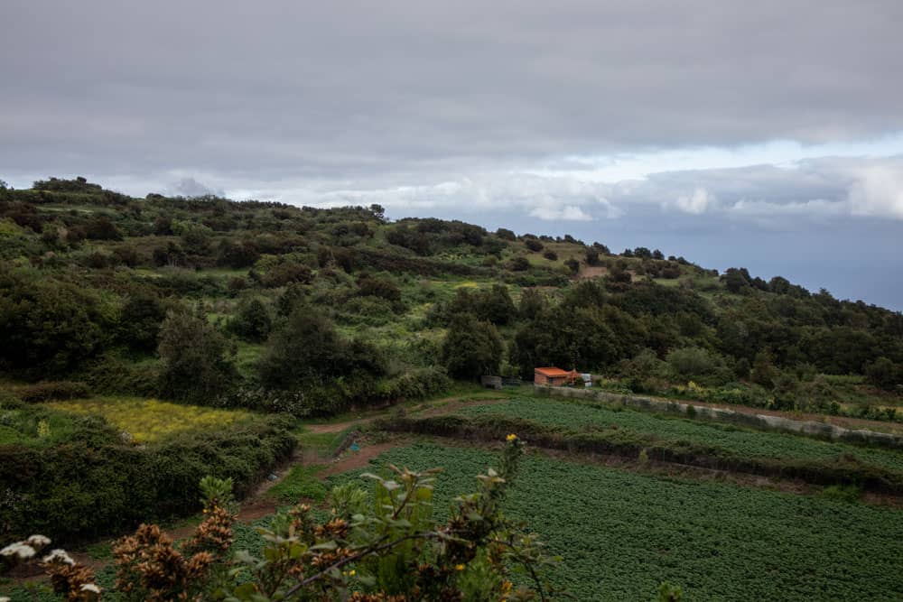 Wanderweg inmitten von Feldern nahe Ruigómez