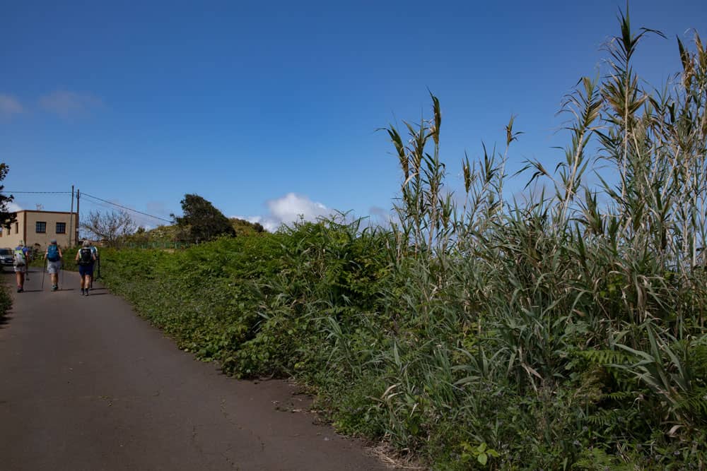 hiking path on the street back to Ruigómez