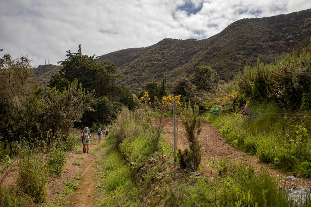 hiking path above La Tierra del Trigo and below the Lomo de Lisa