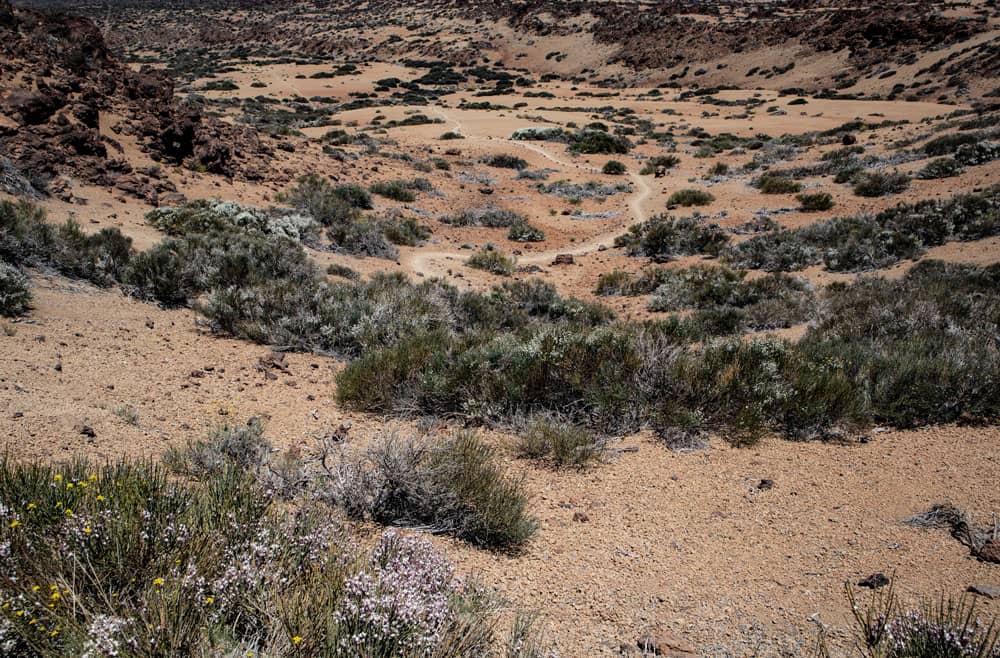 View of the hiking trail through the plain