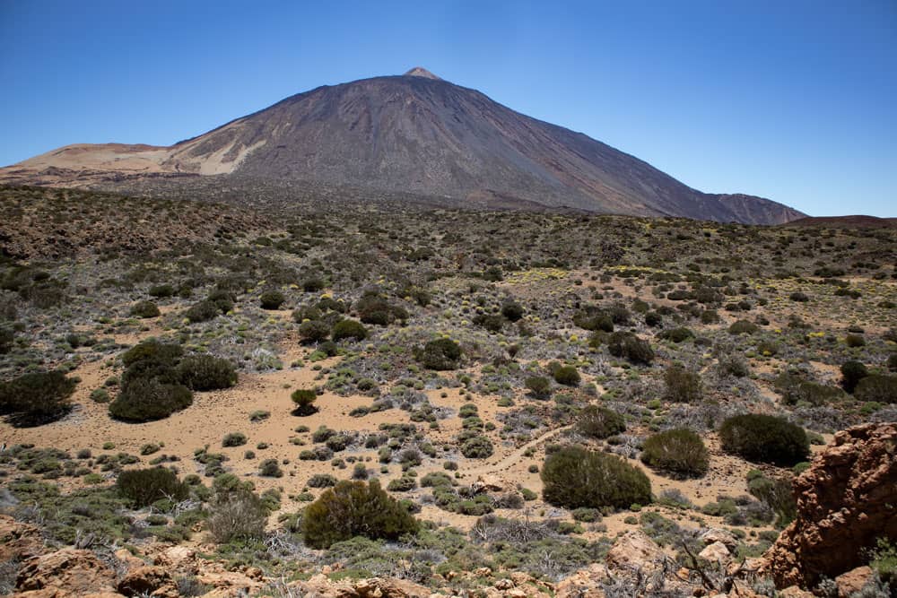 Teide and Montaña Blanca