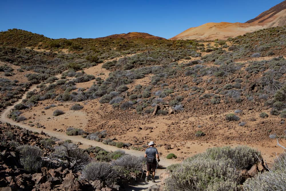 Wanderweg mit Wanderer bei El Portillo