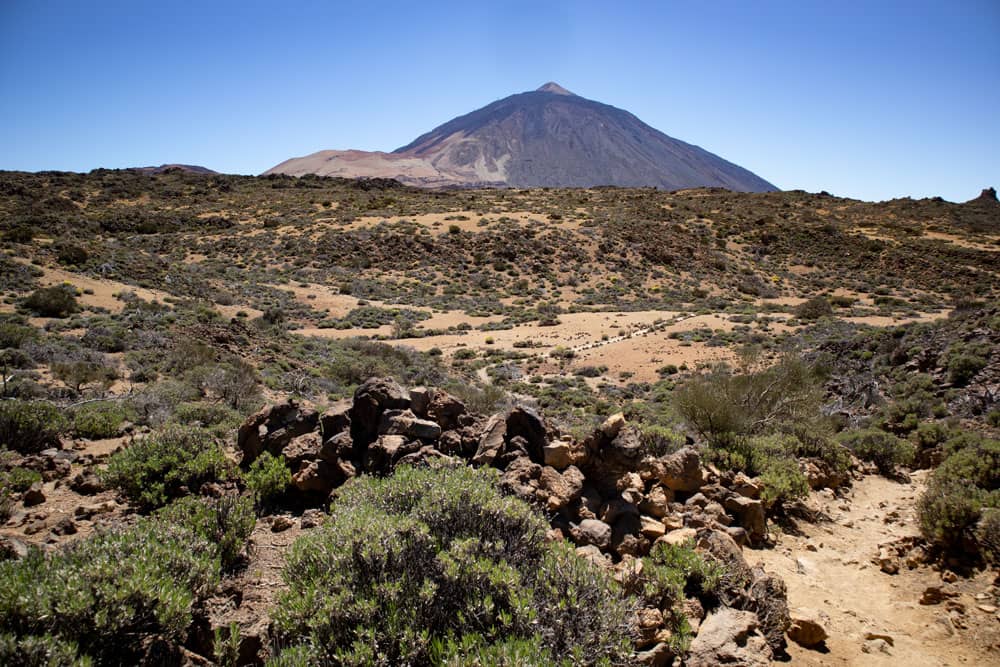 Vista de vuelta por la ruta de senderismo hacia Montaña Blanca y el Teide