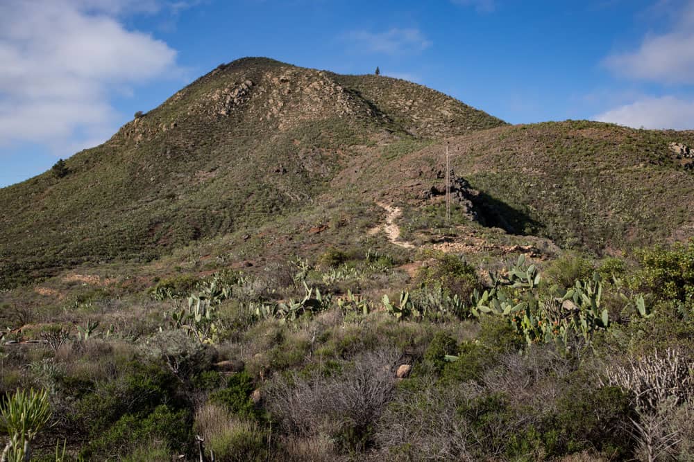 Hiking path to Roque del Jama