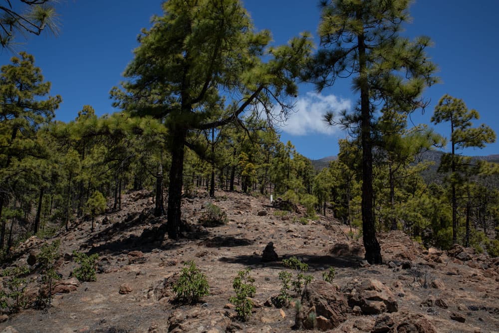 Cresta de la montaña por encima de Ifonche