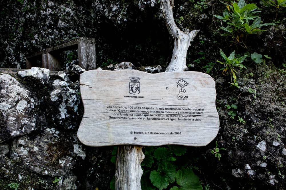 Hinweisschild auf den heiligen Arbol Garoé