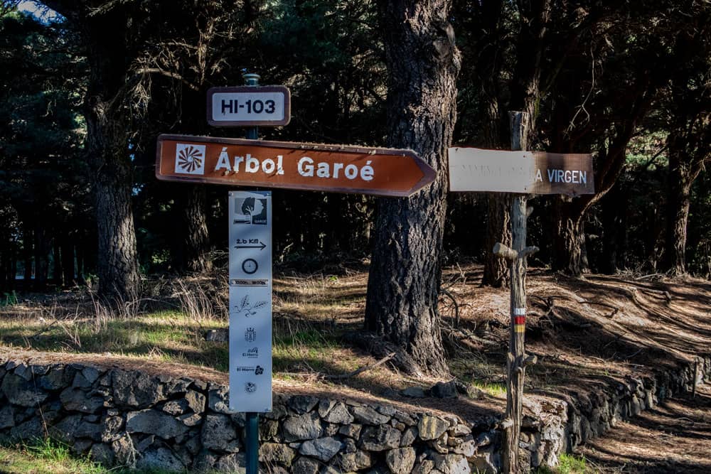 Signpost Arbol Garoé