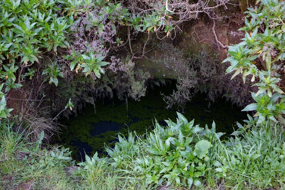 Ein Wasserloch - Alberca