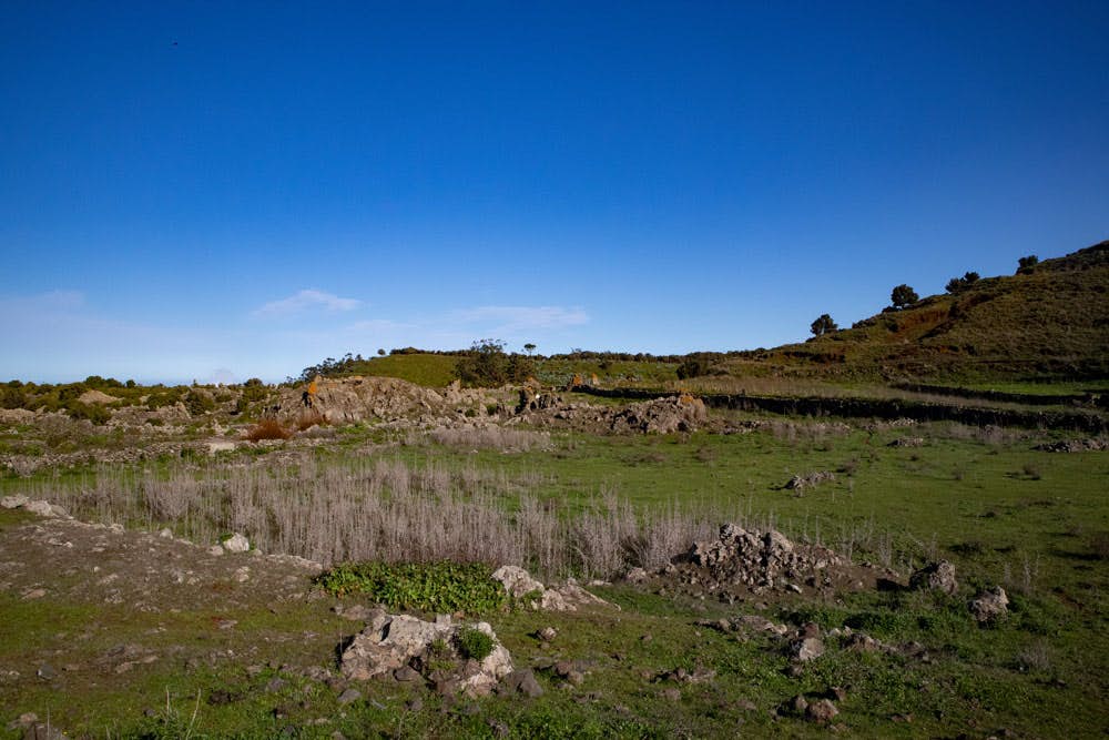 green plateau - Meseta de Nisdafe