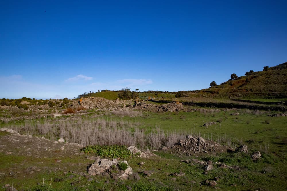 green plateau - Meseta de Nisdafe