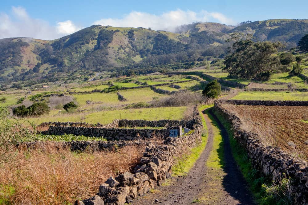 Hiking trail through fields and green meadows