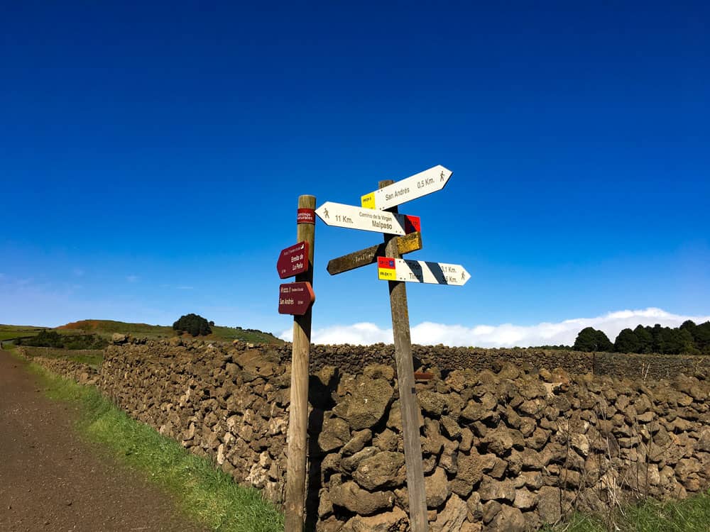 post signs on the circular Arbol Garoé