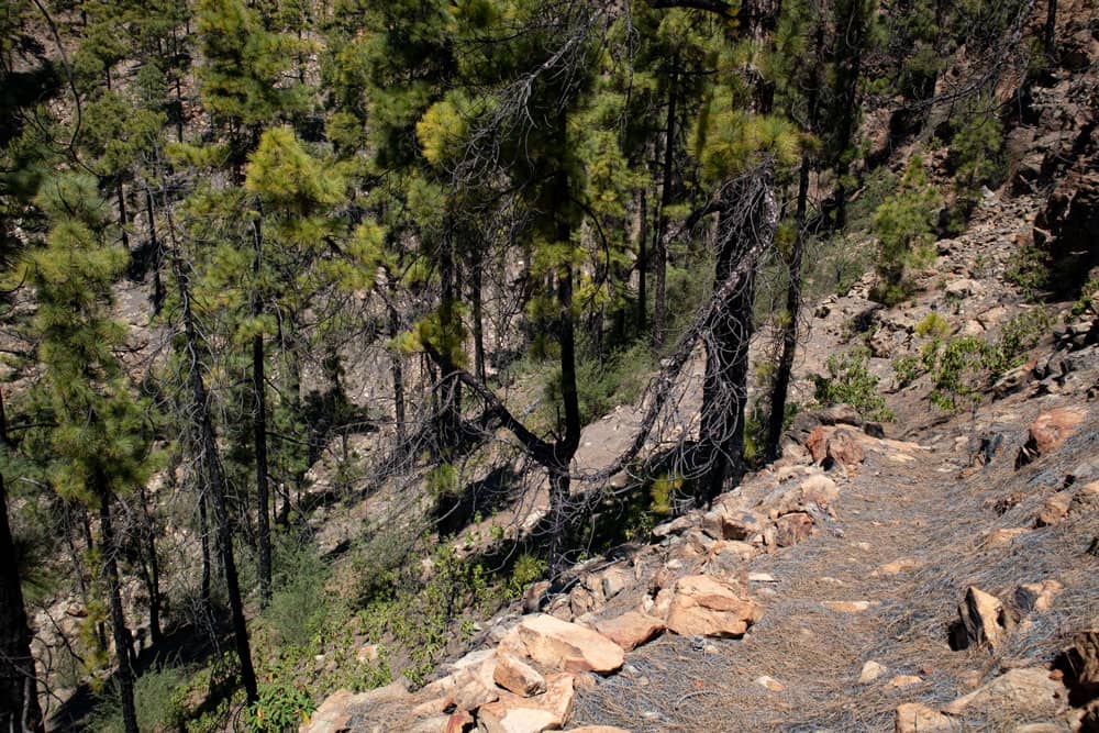 hiking path out of the Barranco to the ridge