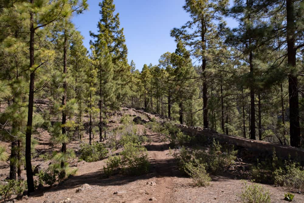 Article summary and large selection of GPS hiking tracks