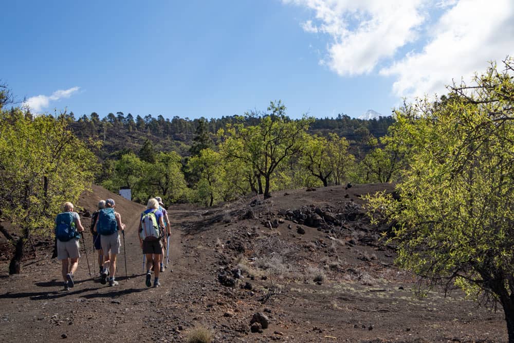 Ruta de senderismo con el Teide al fondo